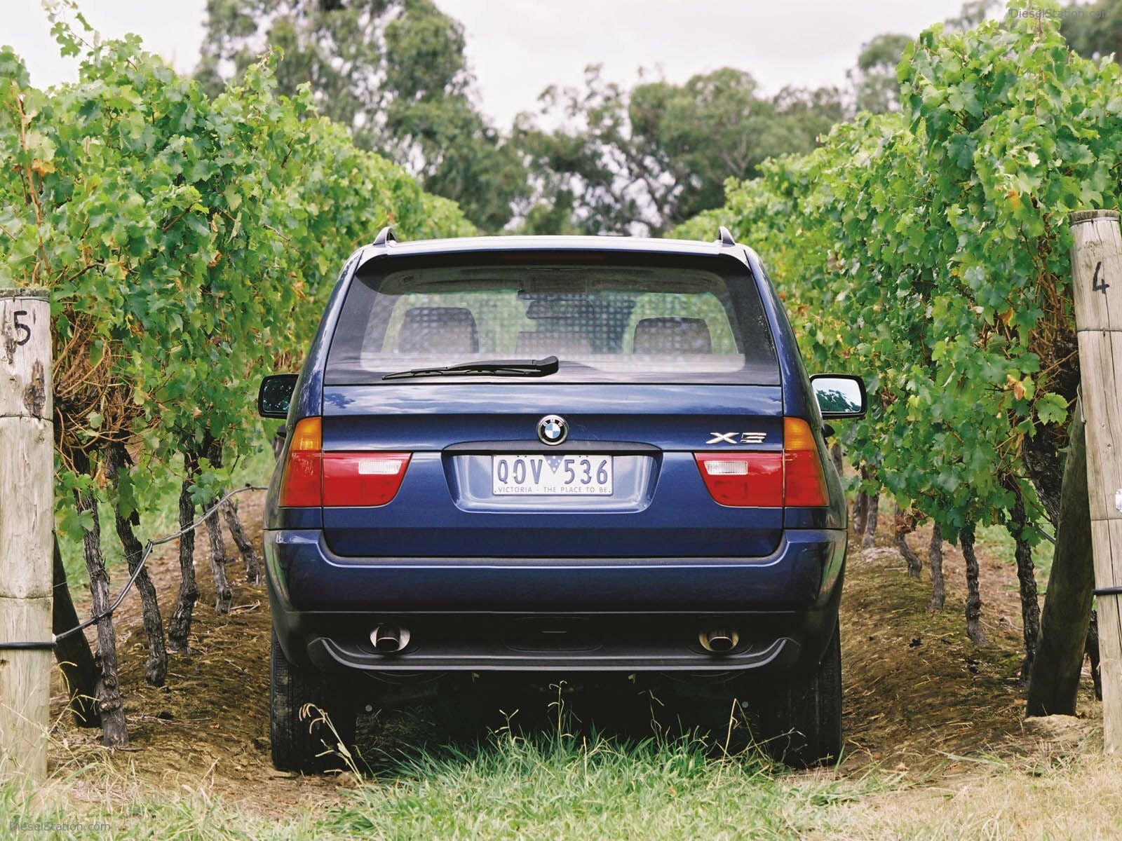 BMW X5 (2000)